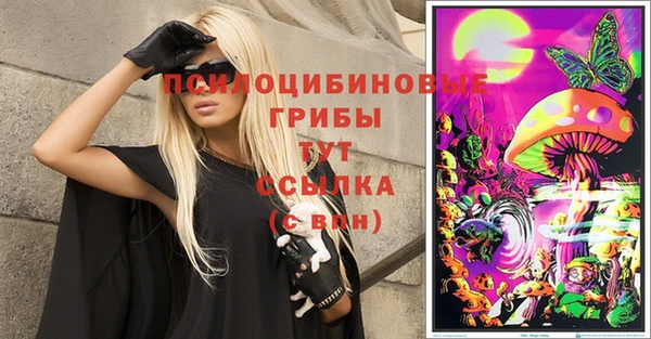 прущие крисы Арсеньев