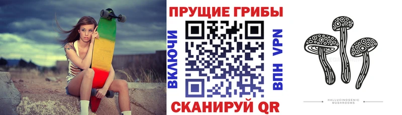 Псилоцибиновые грибы Psilocybine cubensis купить наркоту Полярные Зори